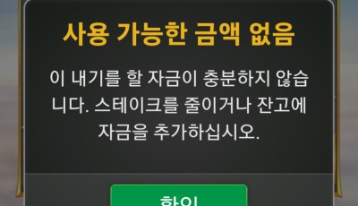 투데이후기