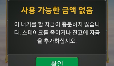 라이징 후기