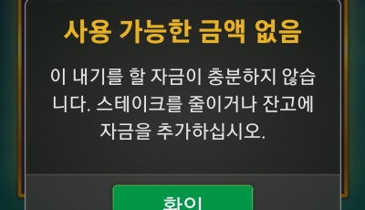 라이징 후기