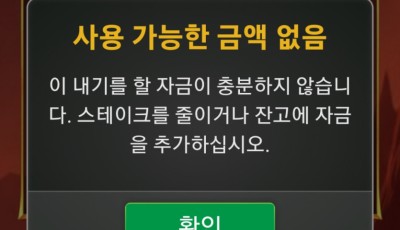 라이징후기