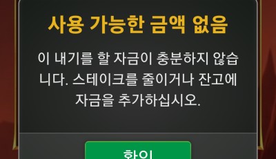 라이징 후기