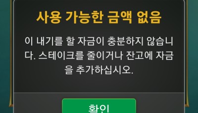 라이징 후기