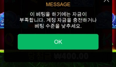 투데이후기