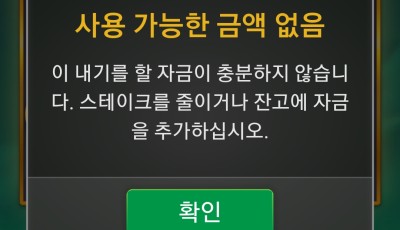 투데이후기