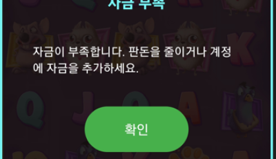 솔카 후기