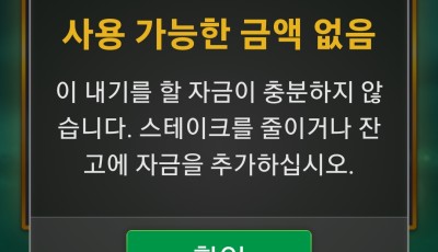 라이징 후기