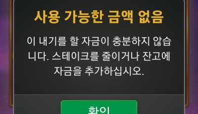 라이징 후기