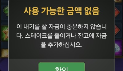 라이징 후기