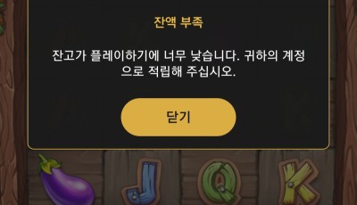 투데이 후기