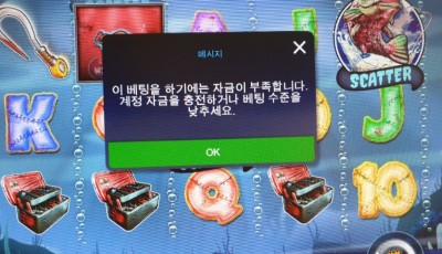 솔후기