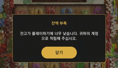 투데이 후기