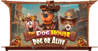 The Dog House – Dog or Alive