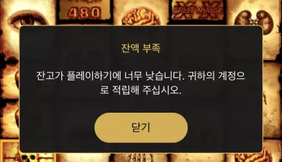 투데이후기