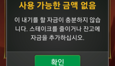 뉴헤븐 후기