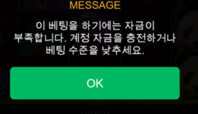 라이징 후기