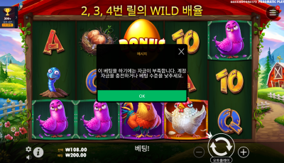 식스틴 후기