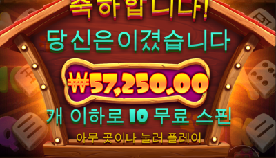 식스틴 후기
