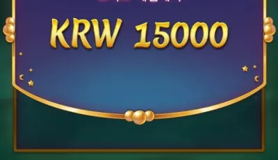 뉴헤븐 후기
