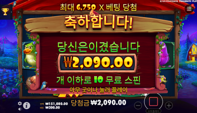 뉴헤븐 후기