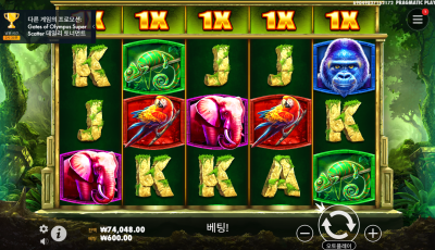 라이징 후기