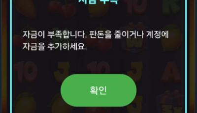 라이징 후기