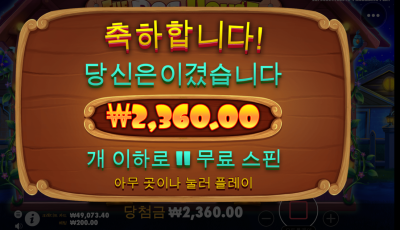 뉴헤븐 후기
