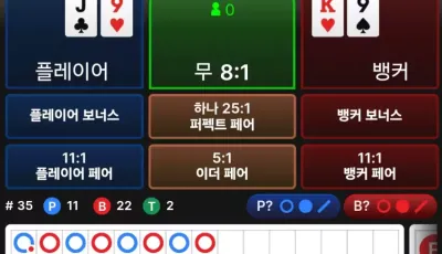 뉴헤븐후기