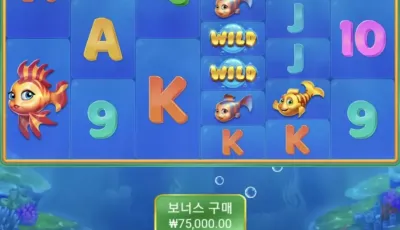 뱅크후기