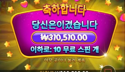 뉴헤븐후기