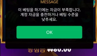 라이징후기