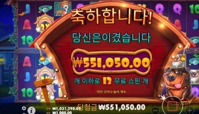 뉴헤븐후기