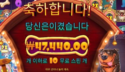 10월13일헤라후기